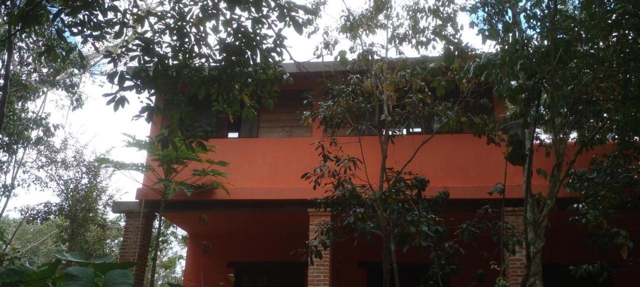 Bed and Breakfast Casa Mango Тулум Экстерьер фото