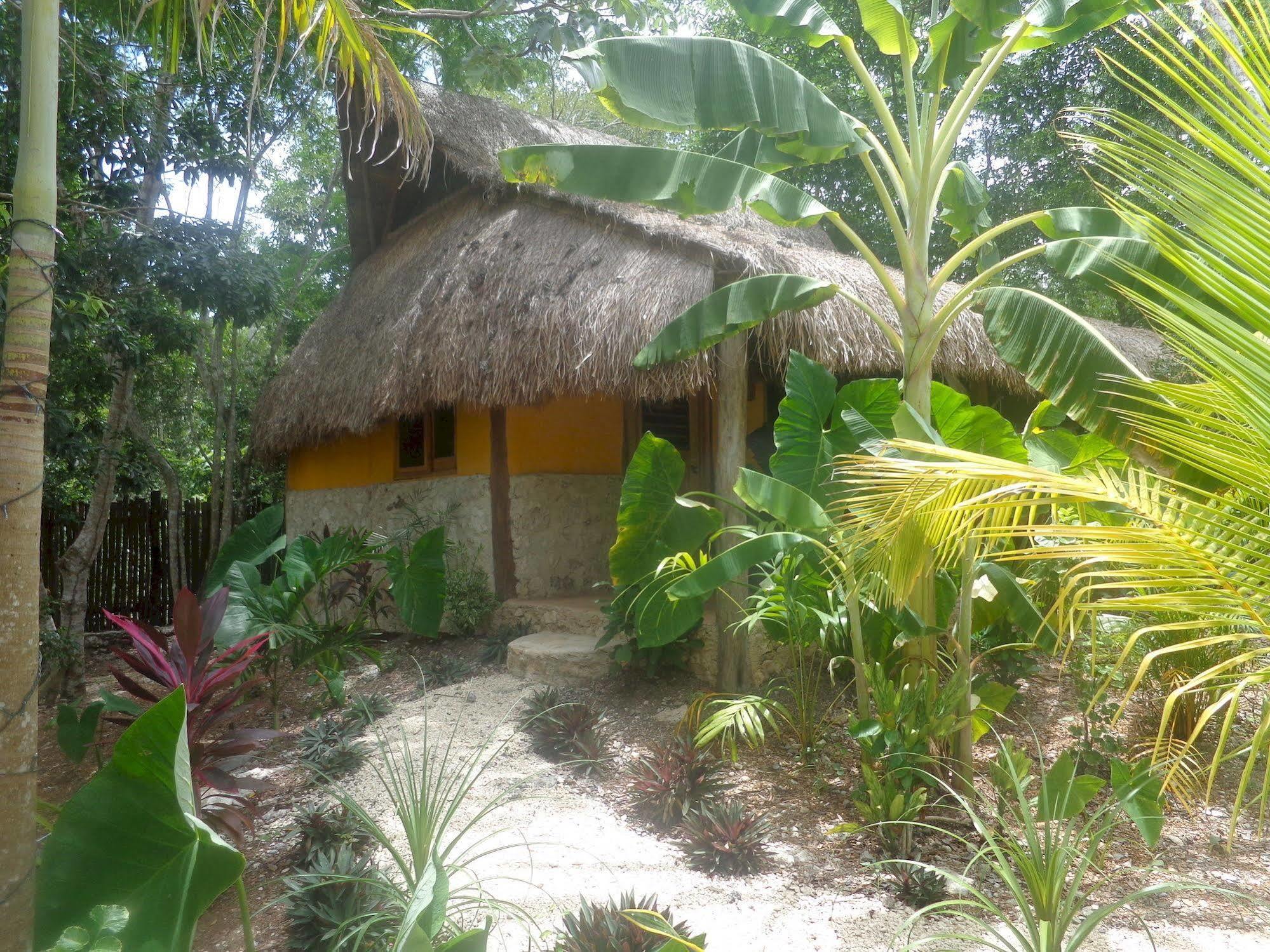 Bed and Breakfast Casa Mango Тулум Экстерьер фото